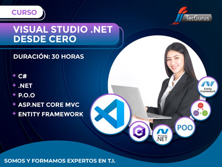 Visual Studio .NET Desde Cero