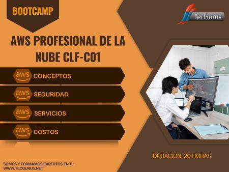 AWS Profesional de la Nube CLF-C01