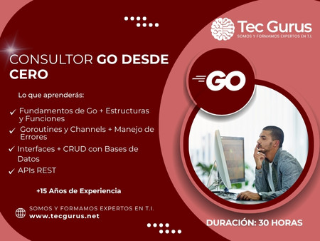 Consultor GO Desde Cero