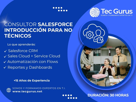 Consultor Salesforce Introducción para No Técnicos